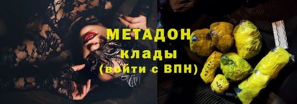 PSILOCYBIN Майский