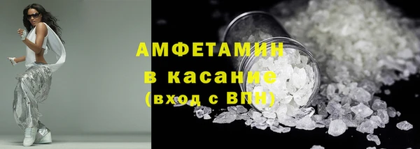 PSILOCYBIN Майский