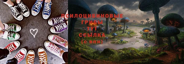 PSILOCYBIN Майский
