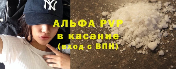 PSILOCYBIN Майский