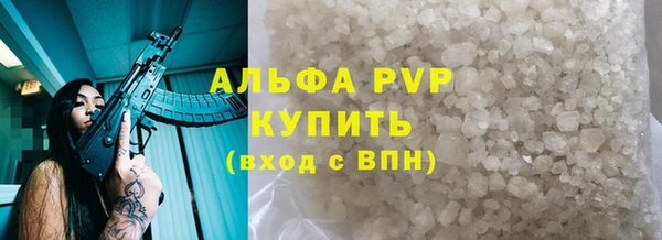 PSILOCYBIN Майский