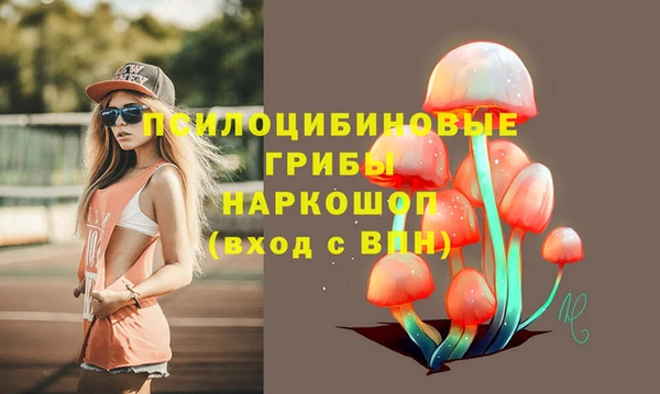 PSILOCYBIN Майский