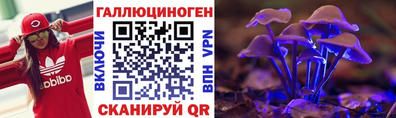 Купить закладки  Армянск  Псилоцибиновые грибы Psilocybe 